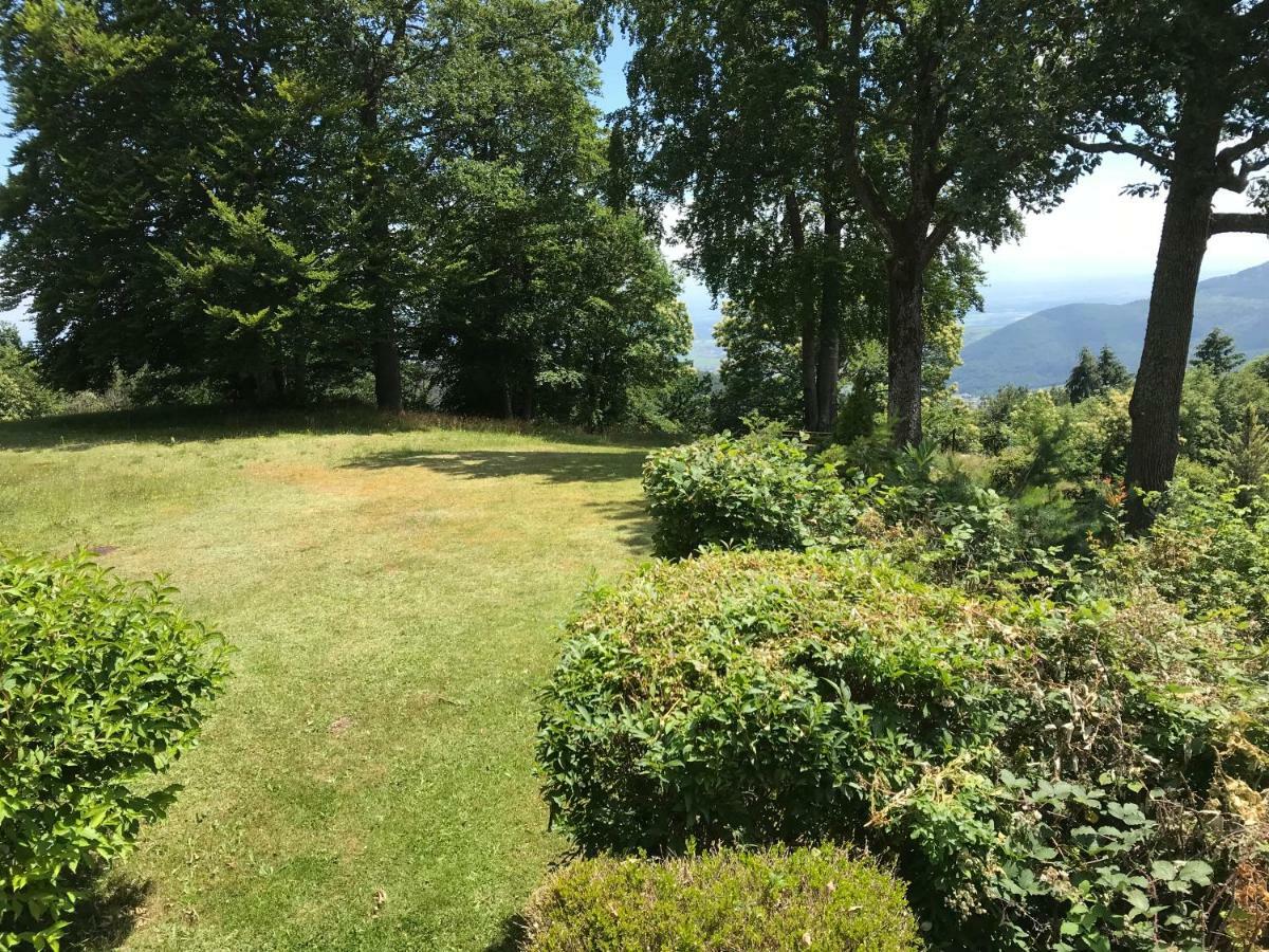 Le Belvedere - Gites Marck Turckheim Luaran gambar